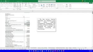 Professional Accounting System in Microsoft Excel